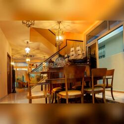 Whitley Road (D11), Terrace #546983491